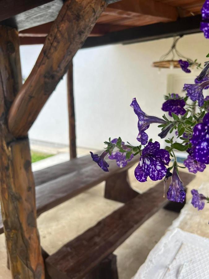 Apartman Djak Plitvička Jezera Zewnętrze zdjęcie