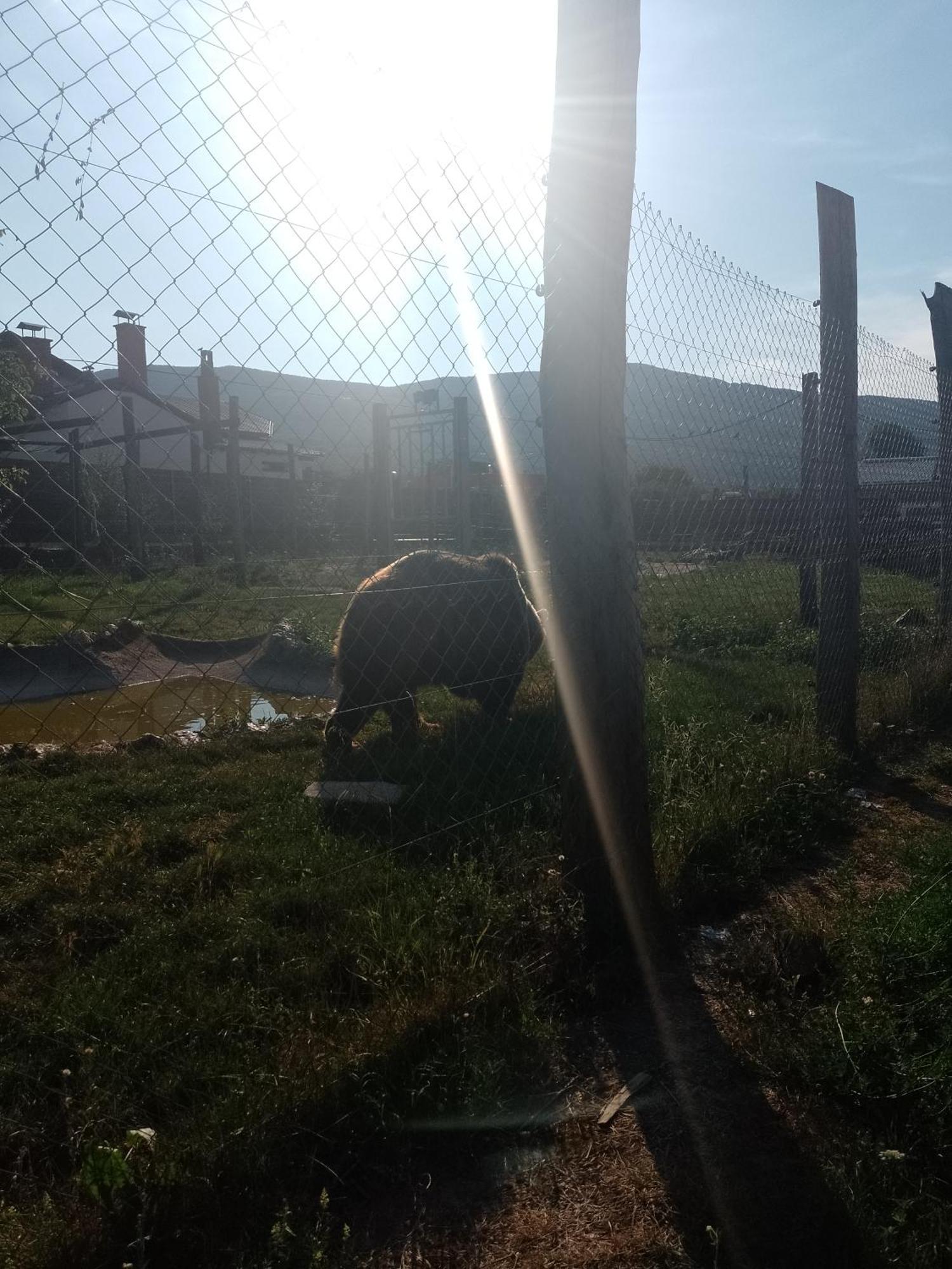 Apartman Djak Plitvička Jezera Zewnętrze zdjęcie
